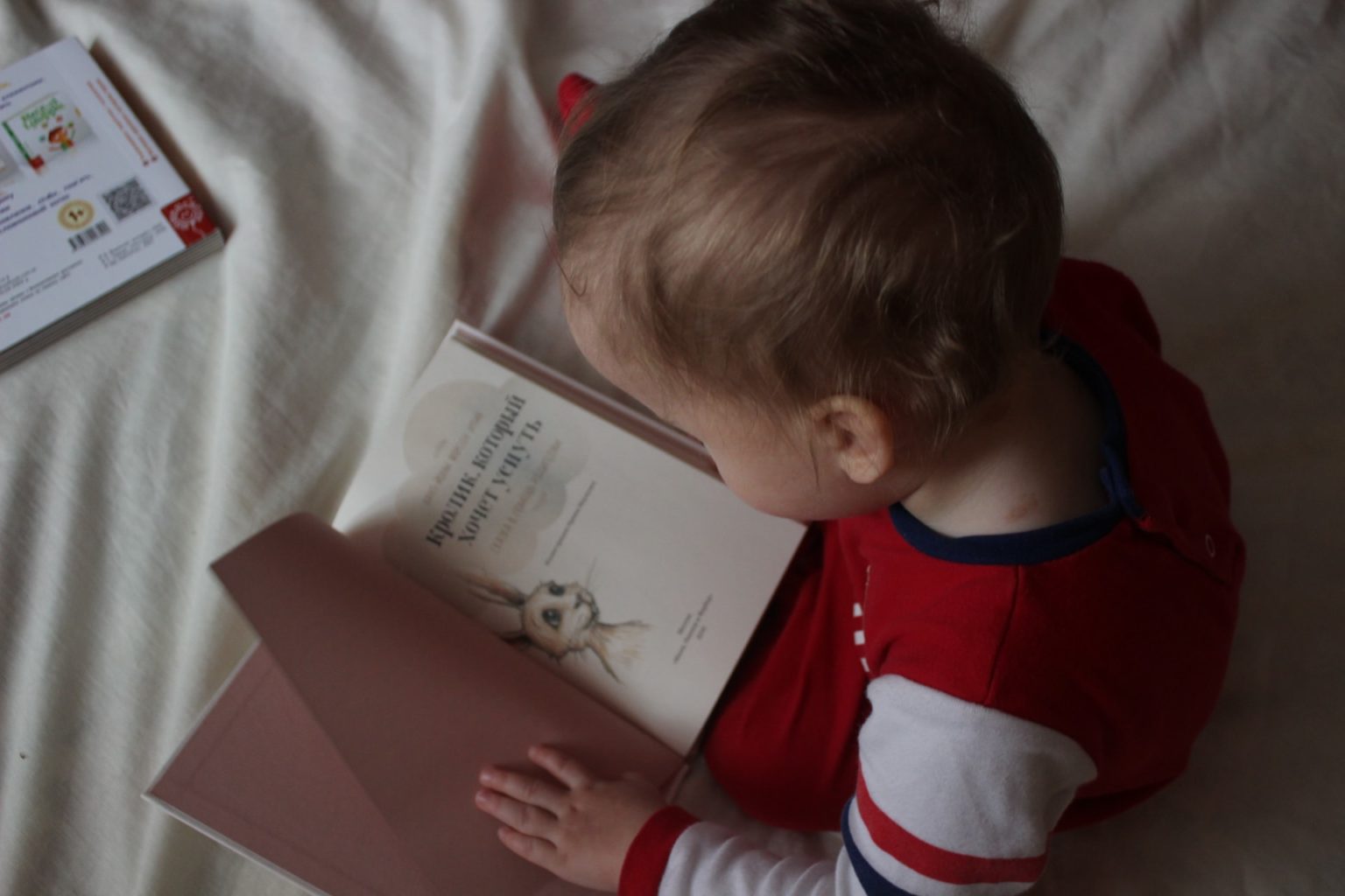 a child reading a book