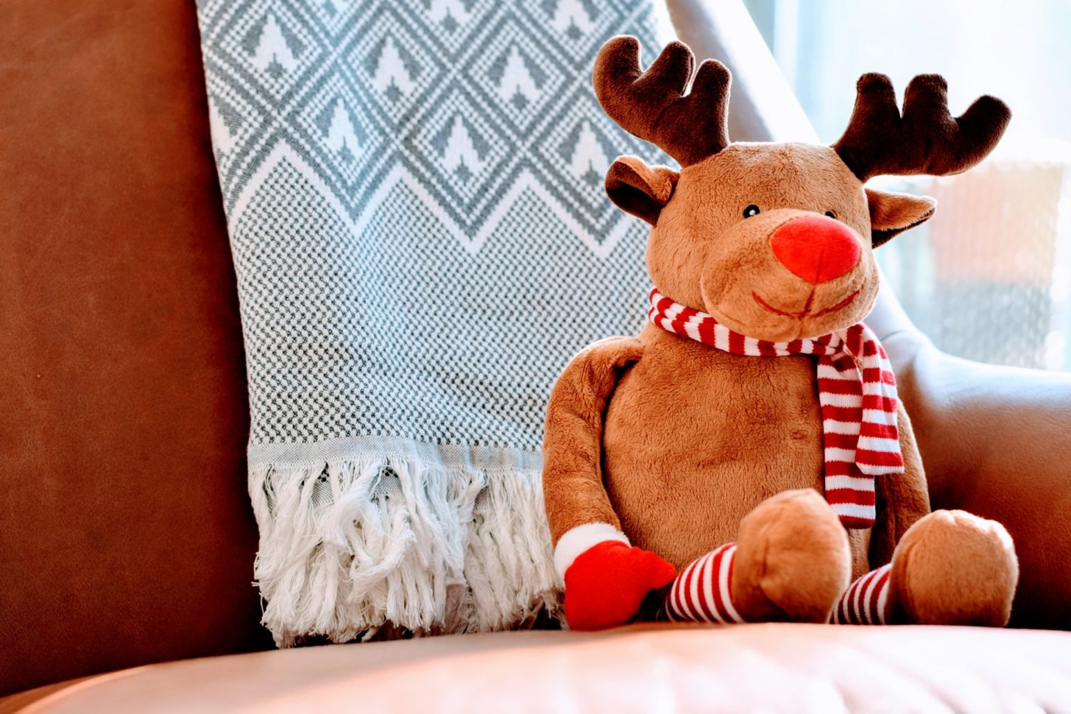 a stuffed animal sitting in front of a blackboard