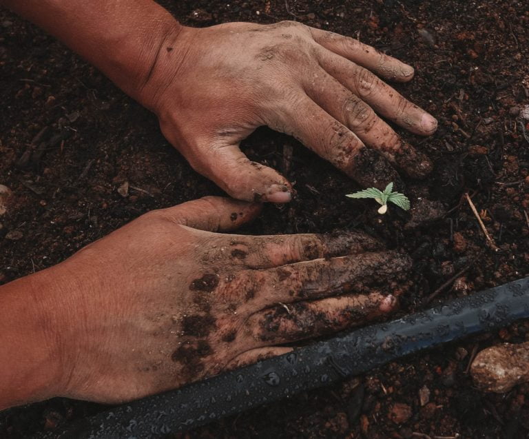 a hand holding a dirt mound
